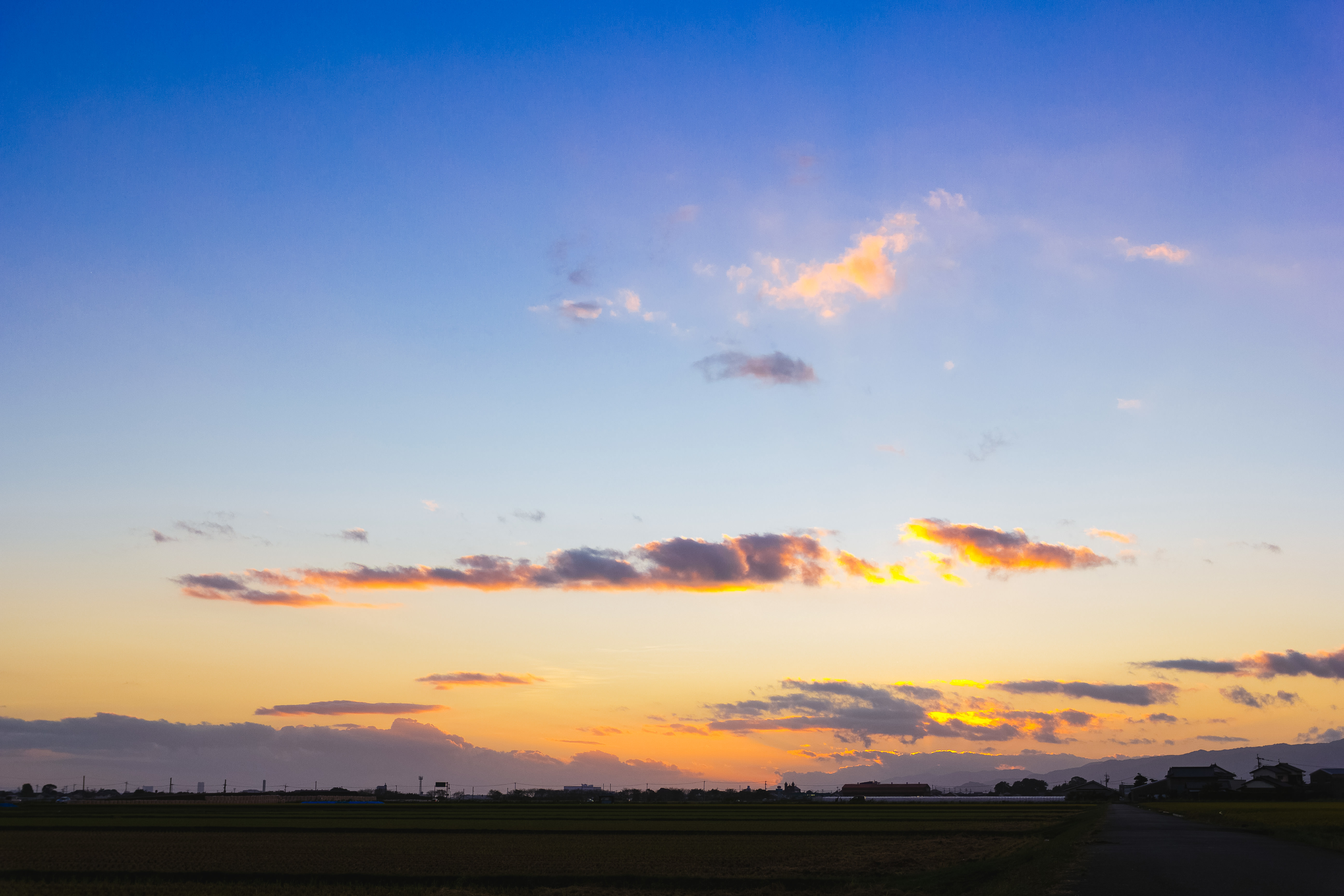 相談をお待ちしていますー4